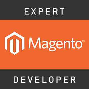 Expert Magento Developer